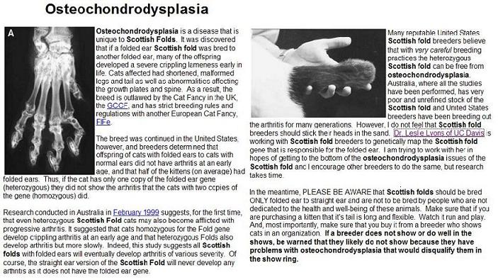 Osteochondrodysplasia-1.JPG